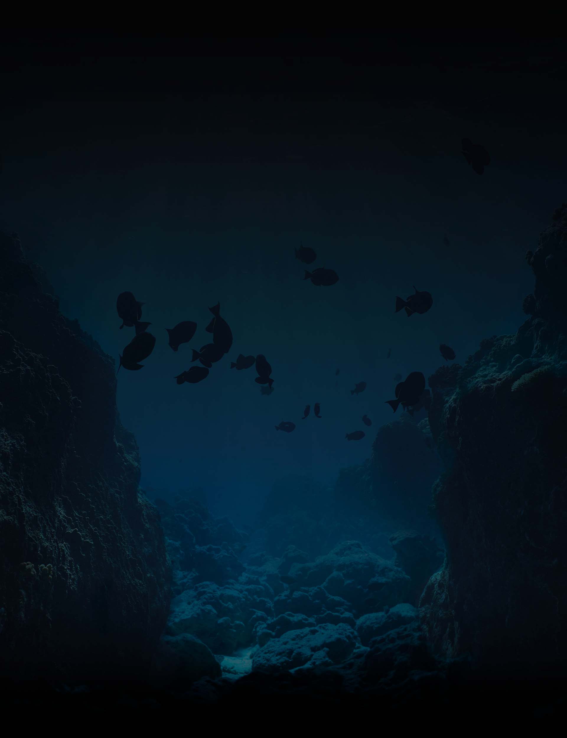 Klares Unterwasserpanorama auf Gran Canaria