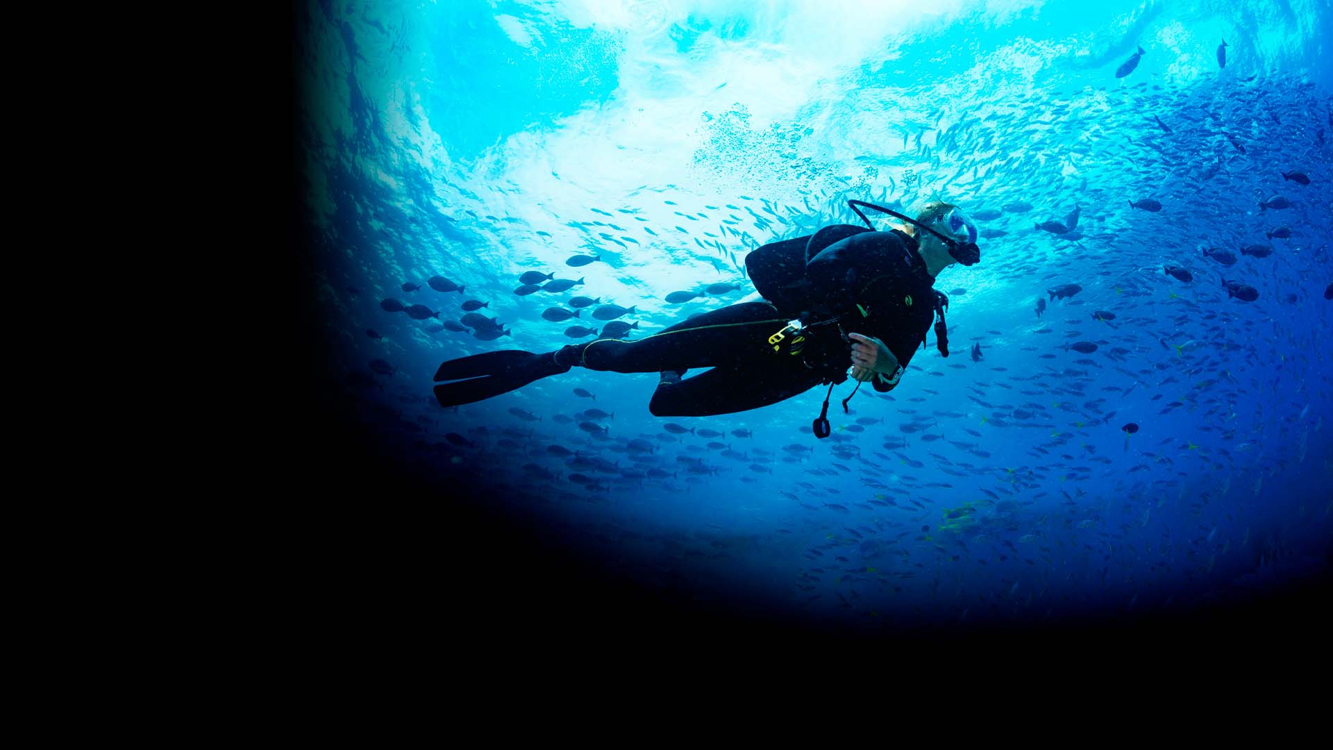 PADI Open Water course training at Nautico Diving